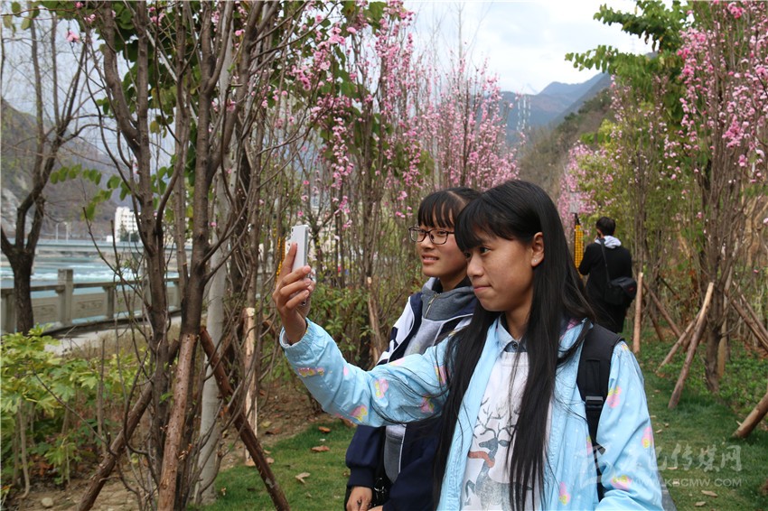 春光俏！“醉”是瀘定春三月，踏青賞花正當(dāng)時