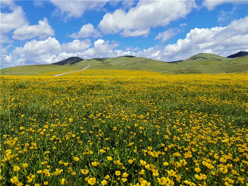 祝?；ê? 任剛.jpg