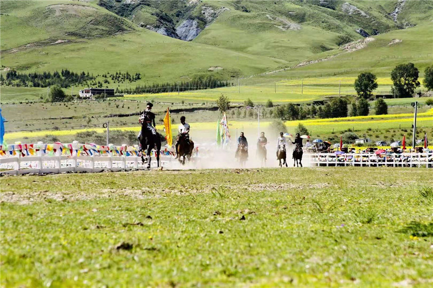 賽馬活動.jpg 賽馬活動.jpg