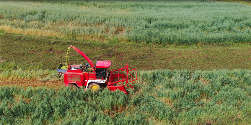 收耕.png 收耕.png