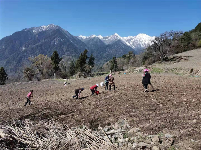 康定市捧塔鄉(xiāng).jpg 康定市捧塔鄉(xiāng).jpg