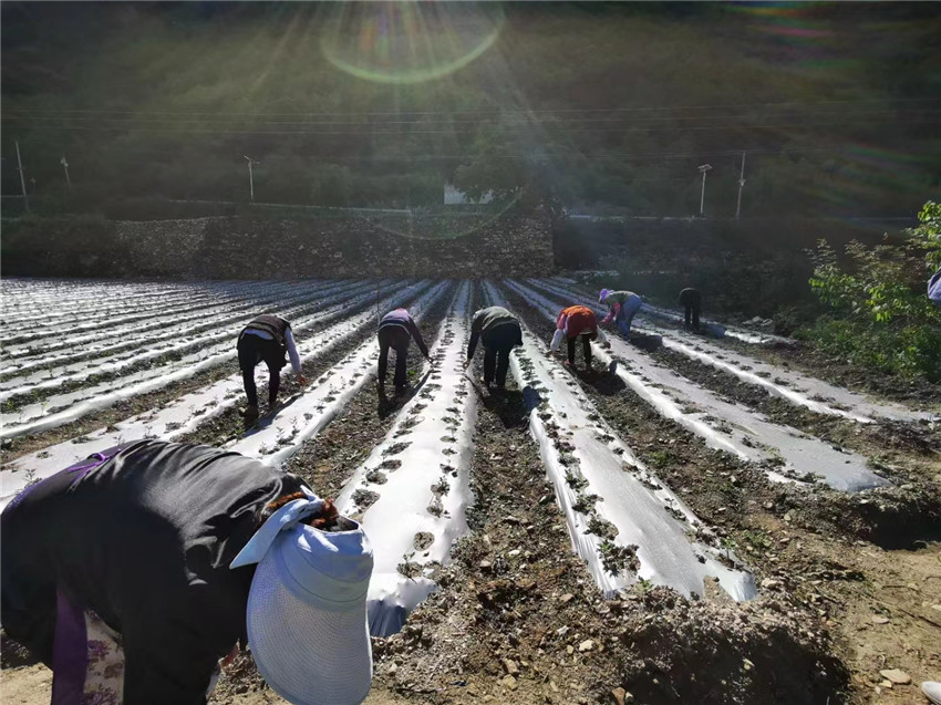 村民在曾經(jīng).jpg 村民在曾經(jīng).jpg