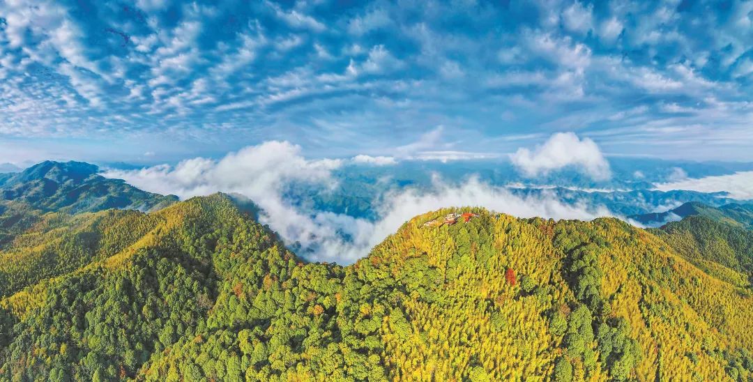 　三明森林生態(tài)環(huán)境優(yōu)美。